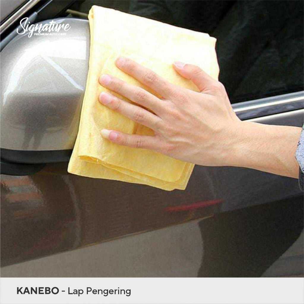 KANEBO PLAS CHAMOIS